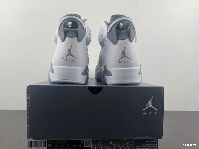 Rep TBK 6 Air CT8529-100 Jordan Cool Grey 0630